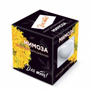 Набор для выращивания «Для тебя! Мимоза» в дизайнерском кубике ручной работы